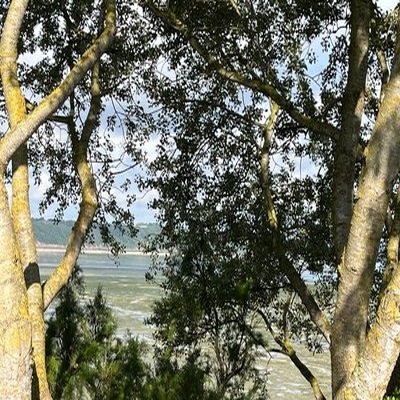 Saint-Jacut-de-la-mer